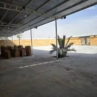 شیروانی دسته دوم