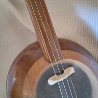 ساز کمانچه|سازهای سنتی|اصفهان, بهارستان|دیوار