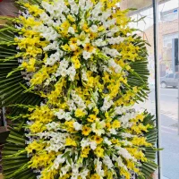 گل ارایی|خدمات پذیرایی، مراسم|پیشوا, |دیوار