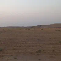 اجاره زمین کشاورزی  ۷ هکتار|اجارهٔ دفتر صنعتی، کشاورزی، تجاری|برازجان, |دیوار