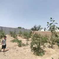 باغ اجیلی نقلی معاوضه|فروش زمین و ملک کلنگی|اصفهان, شاهزاده ابراهیم|دیوار