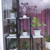 استند گل|صنایع دستی و سایر لوازم تزئینی|چابکسر, |دیوار