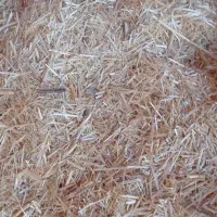 کاه سفید|لوازم جانبی حیوانات|گتوند, |دیوار