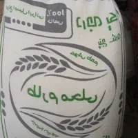 برنج طارم اصل فریدونکنار مستقیم از کشاورز
