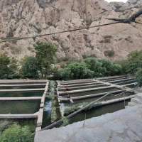 نیازمند نگهبان استخر ماهی