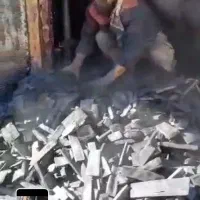 ذغال کبابی و بسته بندی تخته درجه ۱|عمده‌فروشی|تهران, تهرانپارس غربی|دیوار