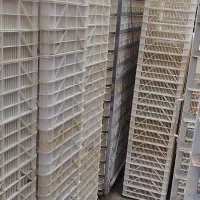 راک ستر هچر جوجه کشی سبد جعبه شانه مرغ بلدرچین کبک|لوازم جانبی حیوانات|تهران, پارک شهر|دیوار