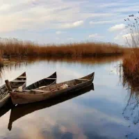 زمین-ساحلی-کلانشهر-سنددار-مالک