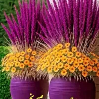 راهنمایی کلاس تقویتی