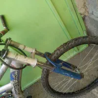 تنه|دوچرخه، اسکیت، اسکوتر|ایرانشهر, |دیوار