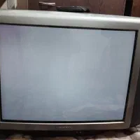 تلویزیون