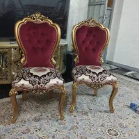 دوعدد میزبان
