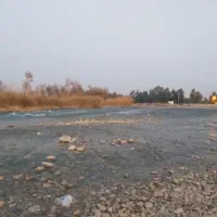 مسافر دربستی شیرازمیخوام باسمند مدل بالاvip|خدمات حمل و نقل|بهبهان, |دیوار