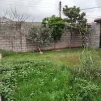 زمین مسکونی