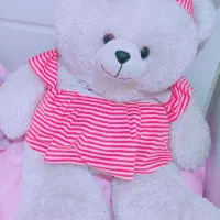 خرس بزرگ درحدنو اسباب بازی
