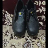 کفش و لباس کار معاوضه با کبوتر|کیف، کفش، کمربند|ایلام, |دیوار