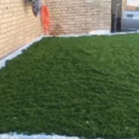 سبزی خوزستان رامهرمز