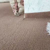 موکت|موکت|میاندوآب, |دیوار