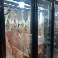 استخدام ادمین اینستاگرام