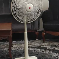 پنکه