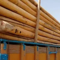 خرید فروش چوب|خدمات باغبانی و درختکاری|خرمآباد, |دیوار