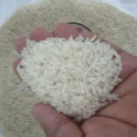 برنج فجر ۹۰روزه وباقلی درجه یک|خوردنی و آشامیدنی|خان ببین, |دیوار