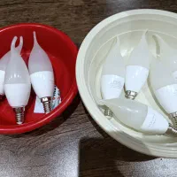 ۱۳ عدد لاله لوستر و اویز همراه لامپ کم مصرف|لوستر و چراغ آویز|سهند, |دیوار