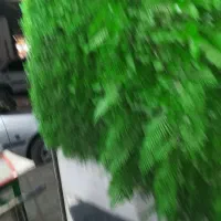 نیازمند کارگر برای کار در مغازه سبزی فروشی