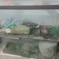 اکواریم شرکتی