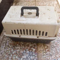 باکس گربه