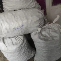 گردو درجه یک مناطق سرد سیرکوهستانی شاه جهان|حراج|تهران, خلیج فارس|دیوار