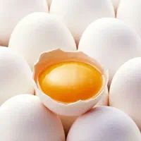 سفیده و زرده تخم مرغ