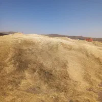 ۴۰تن کاه درجه یک دیم دارم قیمت ۱۱ مقطوع