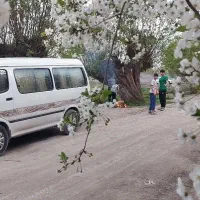 ون دربستی داخل وبیرون شهر.سرویس
