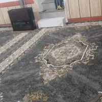 فرش ۱۲ متری|فرش|علی‌آباد کتول, |دیوار