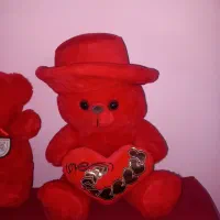 خرس ولنتاین نو کف قیمت