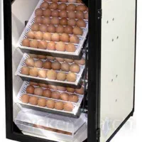 دستگاه جوجه کشی 168 تایی اسکندری