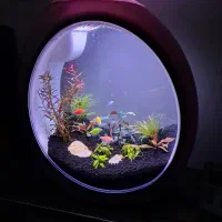 اکواریوم sebo