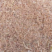 گندم علوفه ای درجه یک|خدمات باغبانی و درختکاری|شادگان, |دیوار