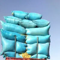 کاه گندم تحویلی