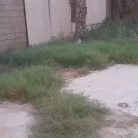 خدمات باغ..|خدمات باغبانی و درختکاری|چمران, |دیوار