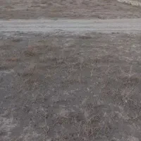 زمین فروشی سند دار گلبهار|فروش زمین و ملک کلنگی|گلبهار, نوبهار|دیوار