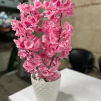 درختچه و دیزایین های داخلی