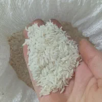 برنج ارگانیگ بدون کودسم کشت با اب شرب درفک