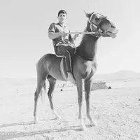 اسب