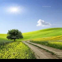 اجاره دامداری