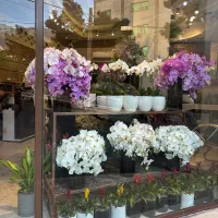 کارگر ساده|استخدام خدمات فروشگاه و رستوران|تهران, کامرانیه|دیوار