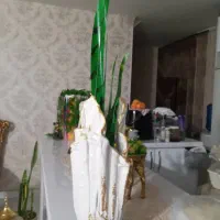 سانسو ریا مصنوعی (پلاستیکی )