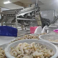 استخدام کارگر خانم واقا فرآوری میگو حقوق بالا