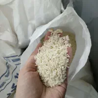 برنج علی کاظمی طارم